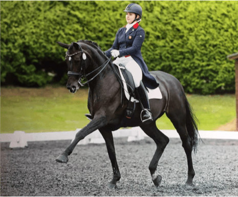 Horse and rider doing dressage