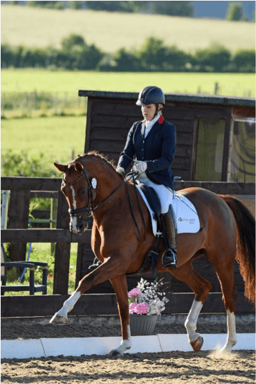 Horse and rider doing dressage